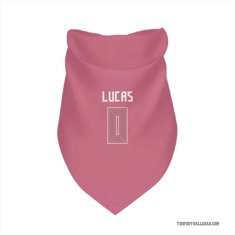 Chase Lucas  Pink Tampa Bay Buccaneers  Cat & Dog Pet Bandana