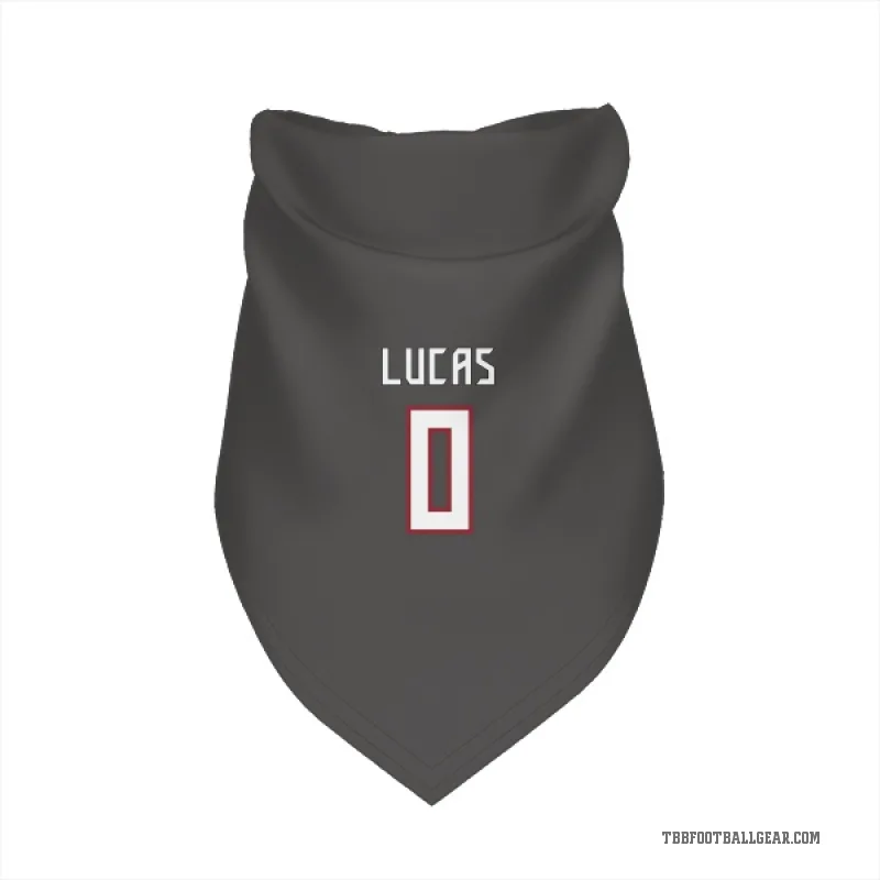 Chase Lucas  Tampa Bay Buccaneers   Pewter Cat & Dog Pet Bandana