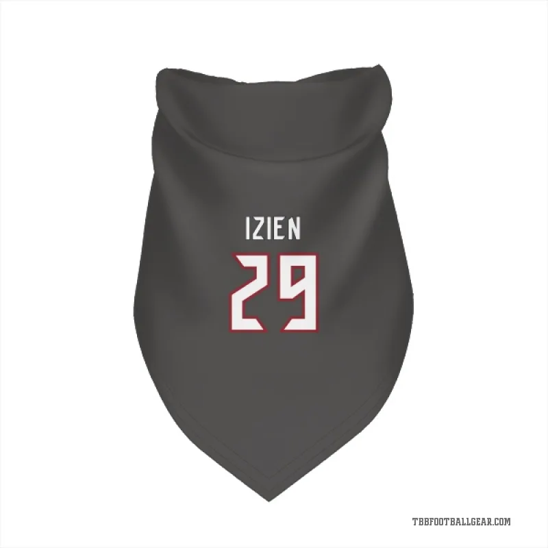 Christian Izien  Tampa Bay Buccaneers   Pewter Cat & Dog Pet Bandana
