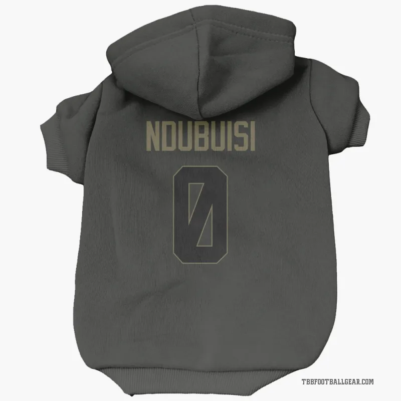 Haggai Ndubuisi  Black Tampa Bay Buccaneers  Service Cat & Dog Pet Hoodie