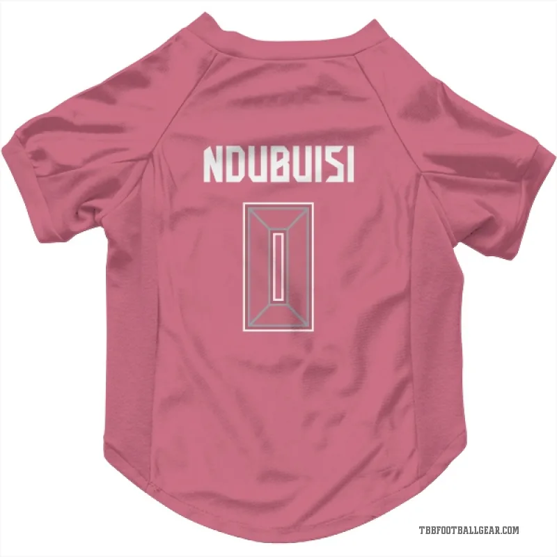 Haggai Ndubuisi  Pink Tampa Bay Buccaneers  Cat & Dog Pet Jersey