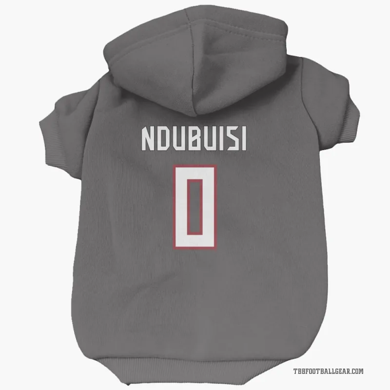 Haggai Ndubuisi  Tampa Bay Buccaneers   Pewter Cat & Dog Pet Hoodie